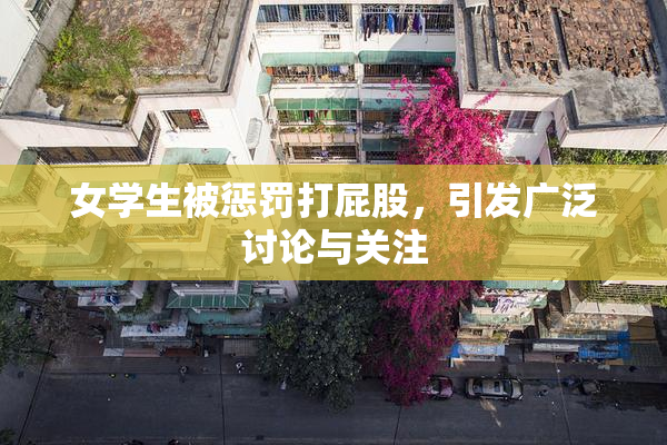 女学生被惩罚打屁股，引发广泛讨论与关注