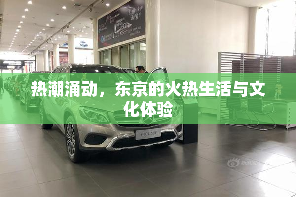 热潮涌动，东京的火热生活与文化体验