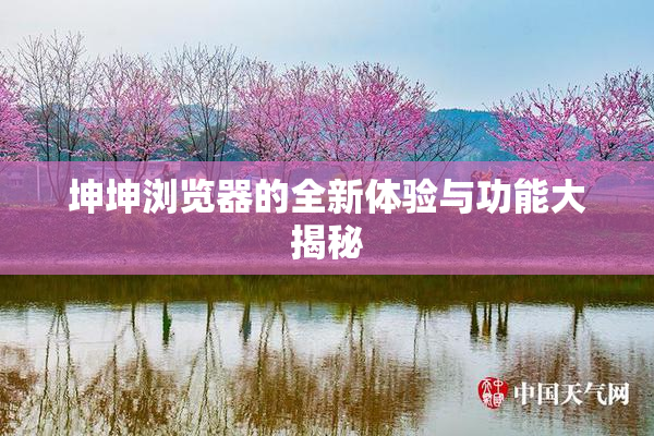 坤坤浏览器的全新体验与功能大揭秘