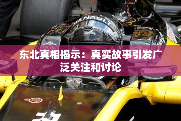 东北真相揭示：真实故事引发广泛关注和讨论