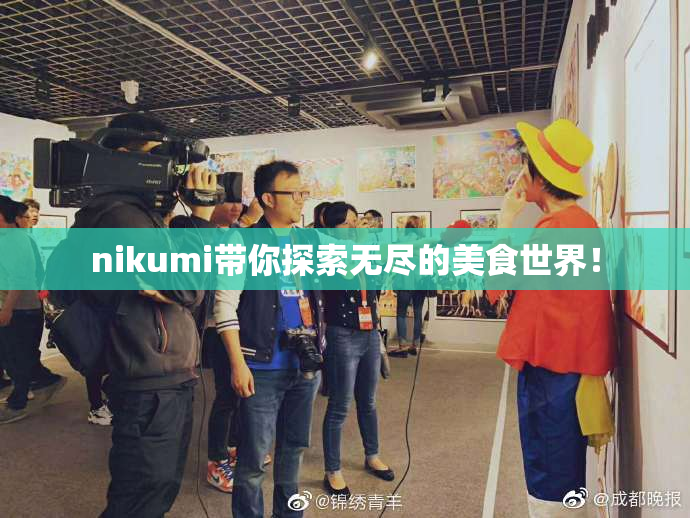 nikumi带你探索无尽的美食世界！