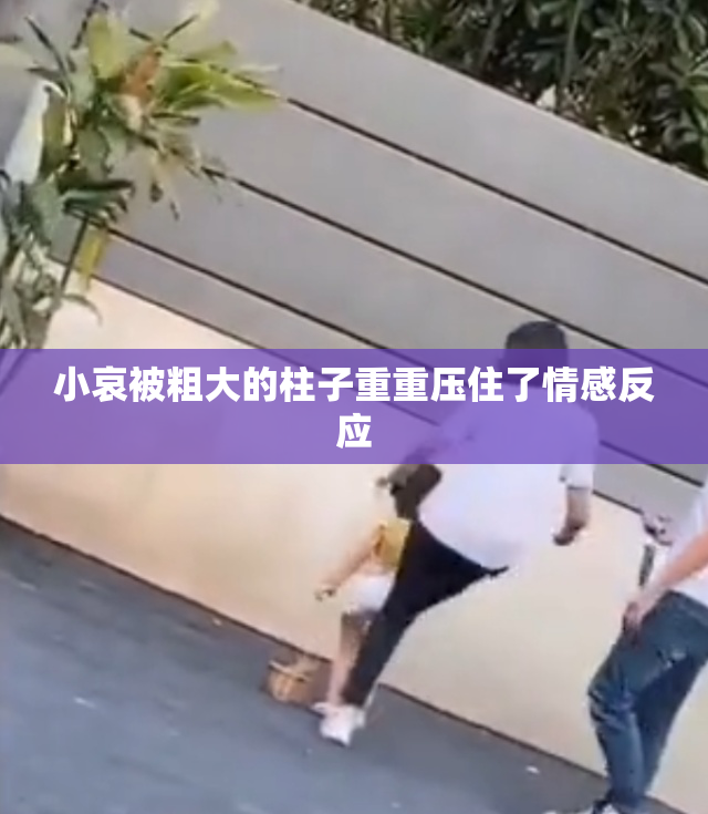 小哀被粗大的柱子重重压住了情感反应
