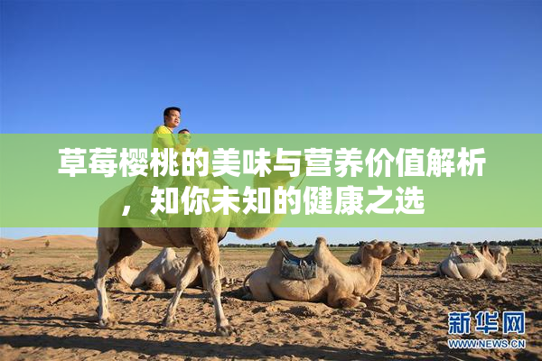 草莓樱桃的美味与营养价值解析，知你未知的健康之选
