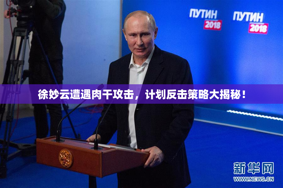 徐妙云遭遇肉干攻击，计划反击策略大揭秘！