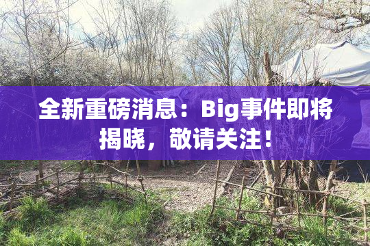 全新重磅消息：Big事件即将揭晓，敬请关注！