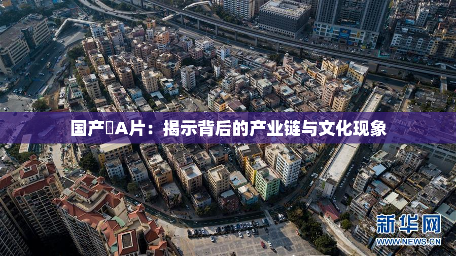 国产婬A片：揭示背后的产业链与文化现象