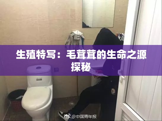 生殖特写：毛茸茸的生命之源探秘
