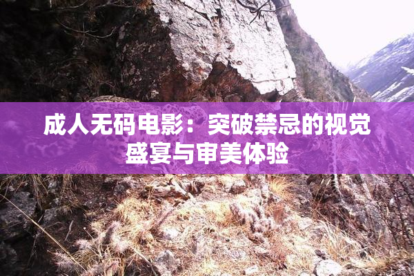成人无码电影：突破禁忌的视觉盛宴与审美体验