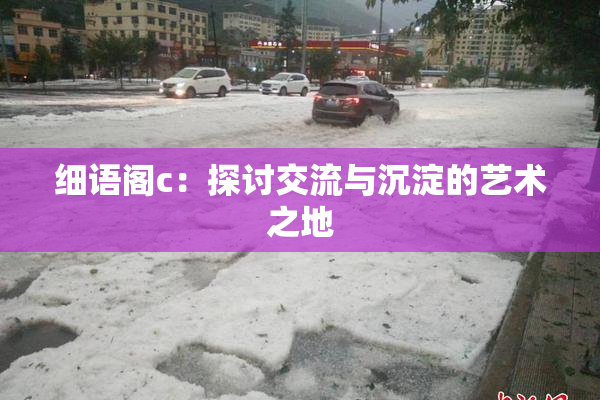 细语阁c：探讨交流与沉淀的艺术之地