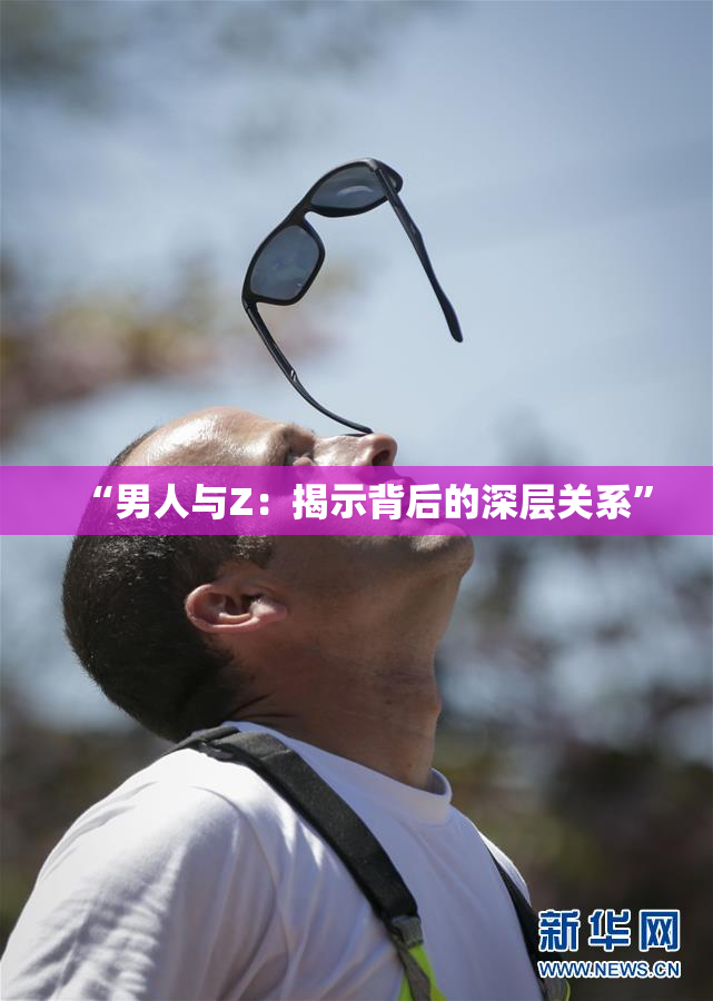 “男人与Z：揭示背后的深层关系”