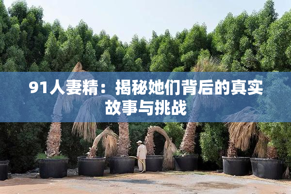 91人妻精：揭秘她们背后的真实故事与挑战