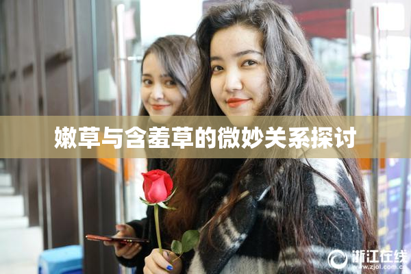 嫩草与含羞草的微妙关系探讨