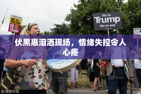 伏黑惠泪洒现场，情绪失控令人心疼