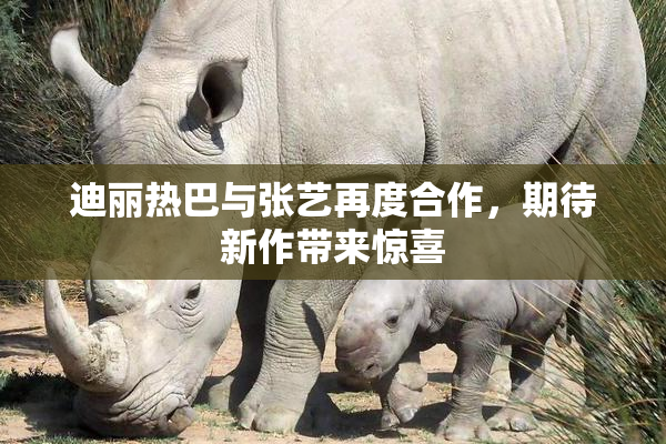 迪丽热巴与张艺再度合作，期待新作带来惊喜