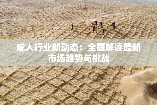 成人行业新动态：全面解读最新市场趋势与挑战