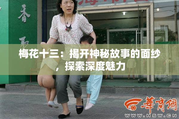 梅花十三：揭开神秘故事的面纱，探索深度魅力