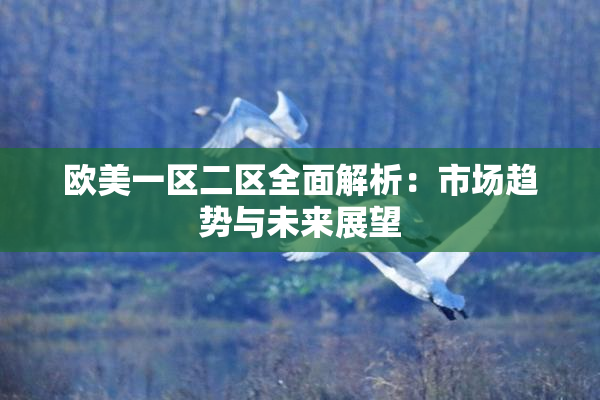 欧美一区二区全面解析：市场趋势与未来展望