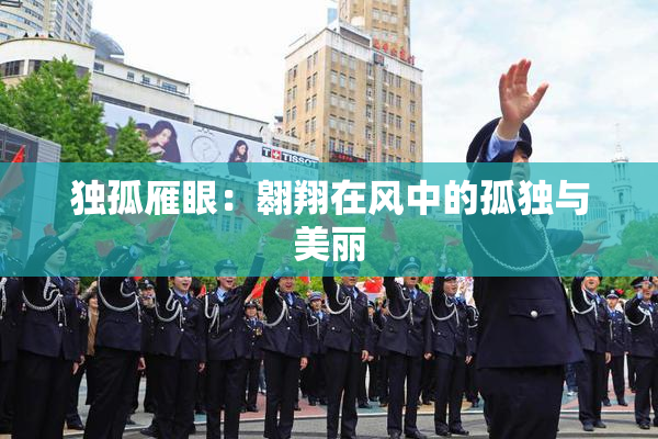 独孤雁眼：翱翔在风中的孤独与美丽