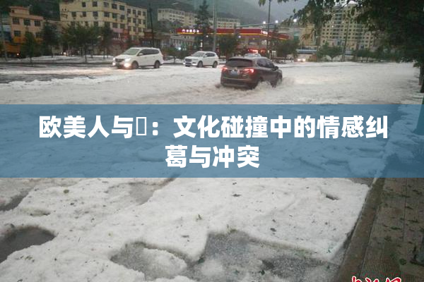 欧美人与嘼：文化碰撞中的情感纠葛与冲突