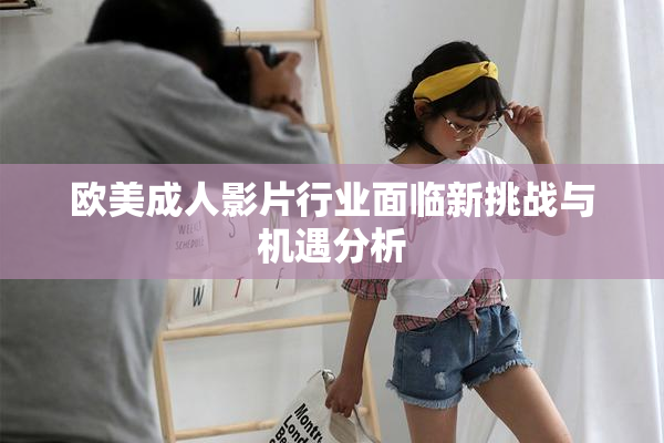 欧美成人影片行业面临新挑战与机遇分析