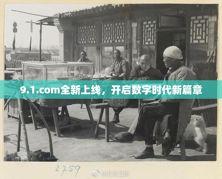 9.1.com全新上线，开启数字时代新篇章