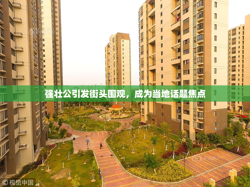 强壮公引发街头围观，成为当地话题焦点
