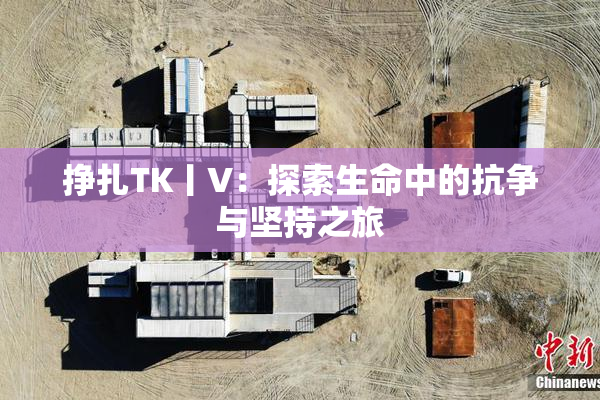 挣扎TK丨V：探索生命中的抗争与坚持之旅
