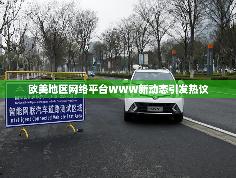 欧美地区网络平台WWW新动态引发热议