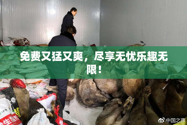 免费又猛又爽，尽享无忧乐趣无限！
