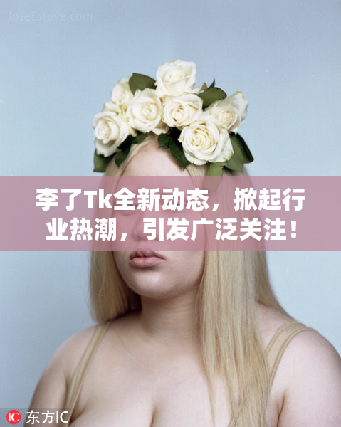 李了Tk全新动态，掀起行业热潮，引发广泛关注！