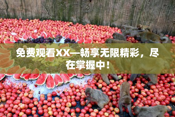免费观看XX—畅享无限精彩，尽在掌握中！