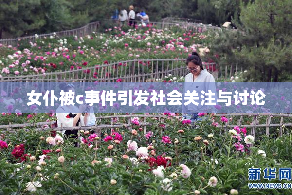 女仆被c事件引发社会关注与讨论
