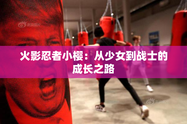 火影忍者小樱：从少女到战士的成长之路