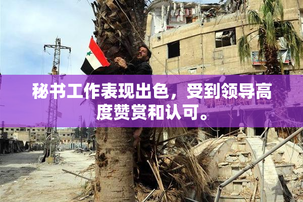 秘书工作表现出色，受到领导高度赞赏和认可。