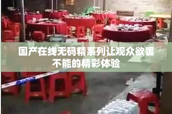 国产在线无码精系列让观众欲罢不能的精彩体验