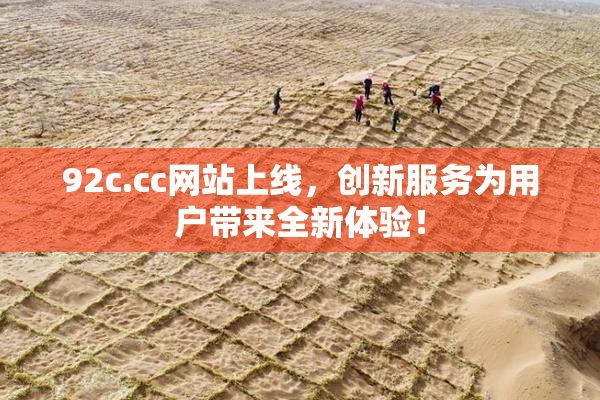 92c.cc网站上线，创新服务为用户带来全新体验！