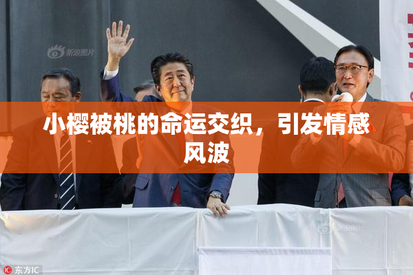 小樱被桃的命运交织，引发情感风波