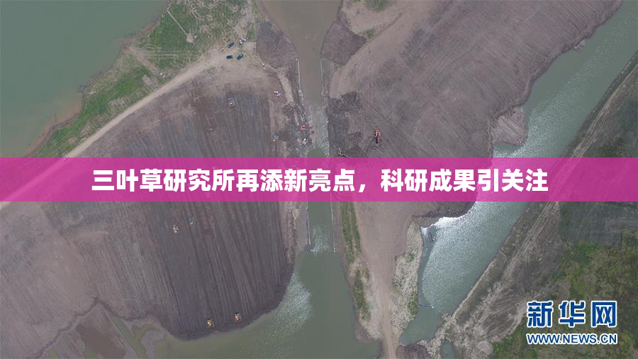 三叶草研究所再添新亮点，科研成果引关注