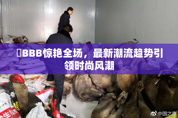 嫰BBB惊艳全场，最新潮流趋势引领时尚风潮