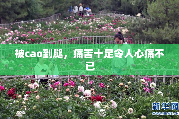 被cao到腿，痛苦十足令人心痛不已