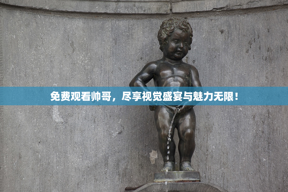 免费观看帅哥，尽享视觉盛宴与魅力无限！