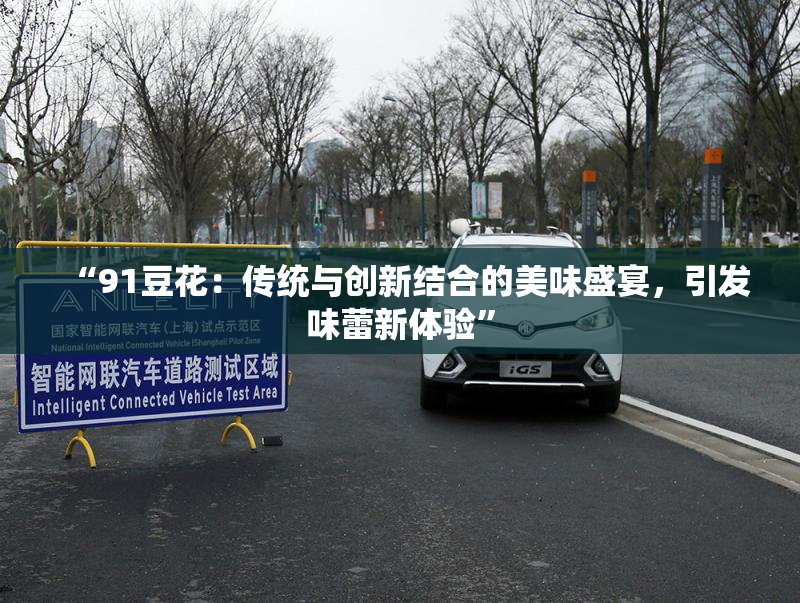 “91豆花：传统与创新结合的美味盛宴，引发味蕾新体验”