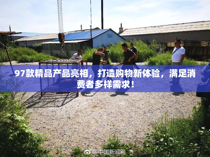 97款精品产品亮相，打造购物新体验，满足消费者多样需求！
