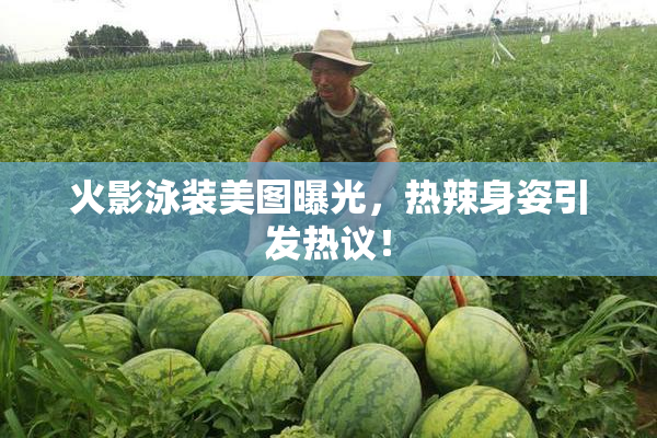 火影泳装美图曝光，热辣身姿引发热议！