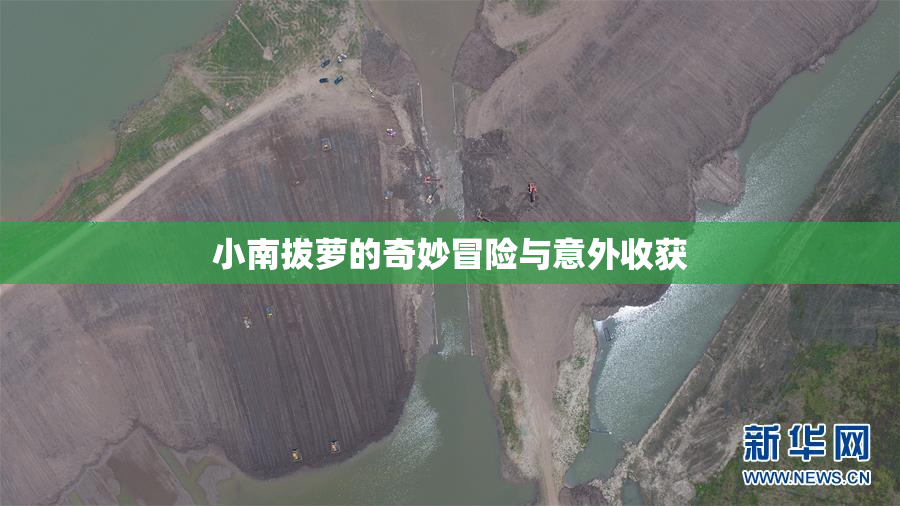 小南拔萝的奇妙冒险与意外收获