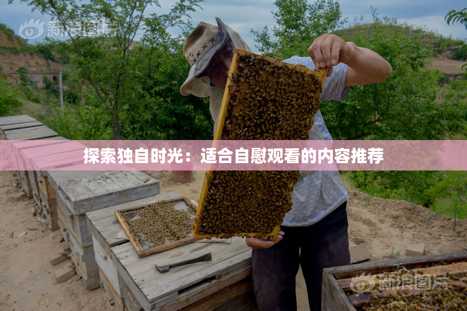 探索独自时光：适合自慰观看的内容推荐