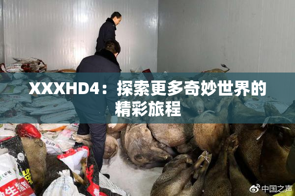 XXXHD4：探索更多奇妙世界的精彩旅程