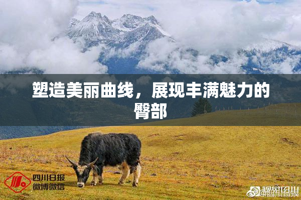 塑造美丽曲线，展现丰满魅力的臀部