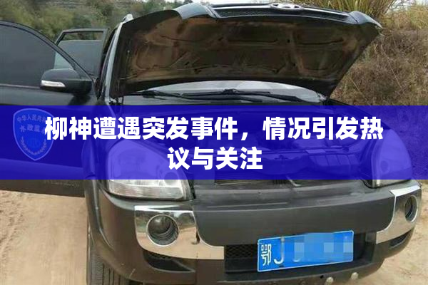 柳神遭遇突发事件，情况引发热议与关注