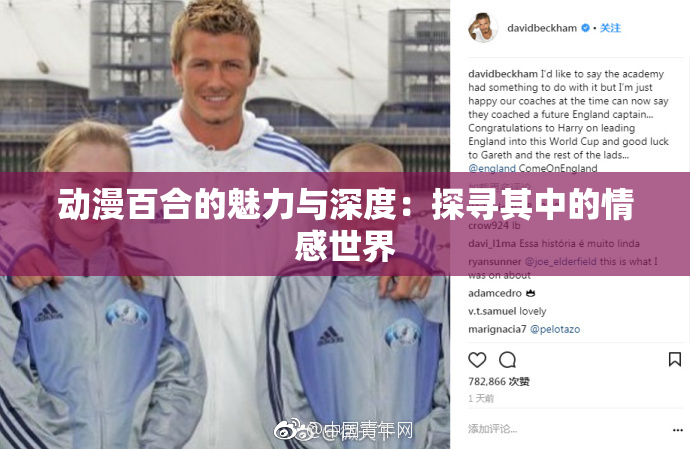 动漫百合的魅力与深度：探寻其中的情感世界